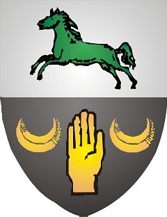 blason 5