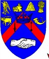 blason 9